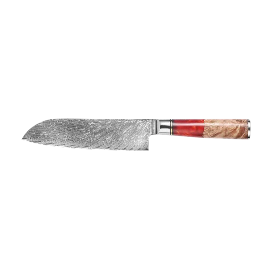 Set de Couteaux VG10 — Manche Résine Rouge